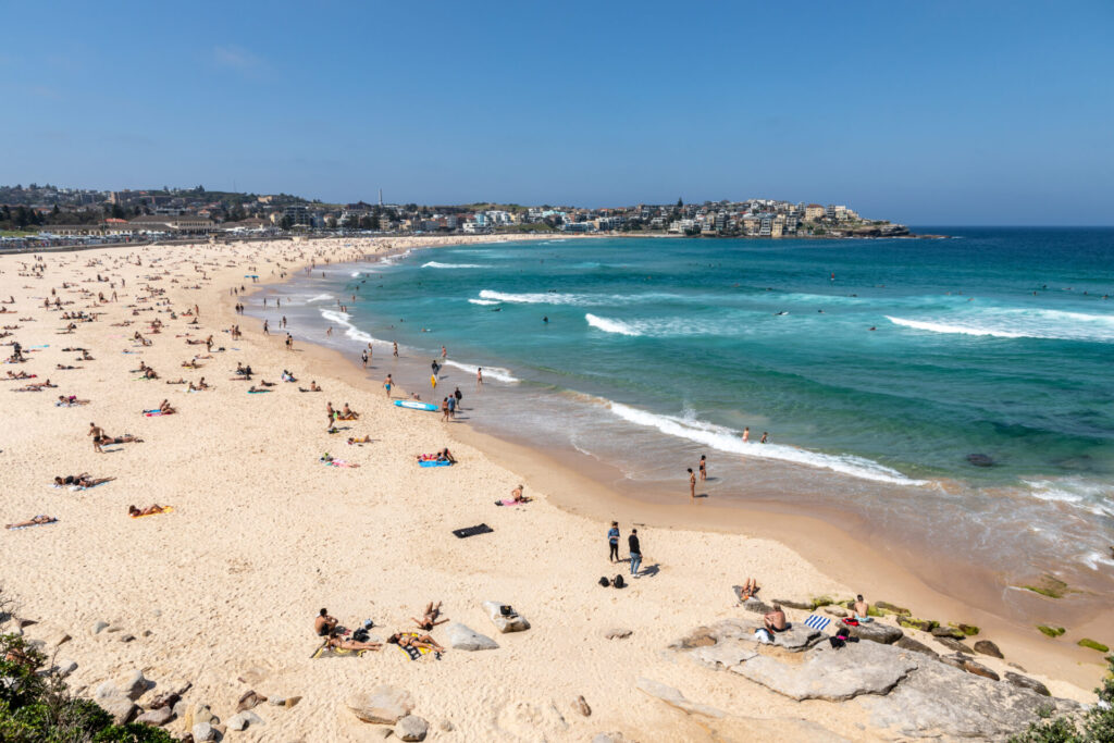 The Bondi Beach Attack and the Evolving Profile of Lone Wolf violence in Australia